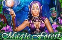 Magic Forest