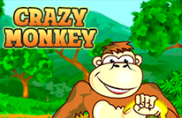 Crazy Monkey