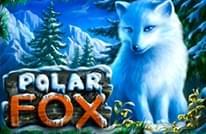Polar Fox