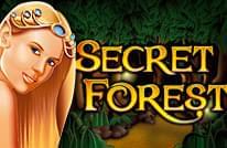 Secret Forest