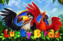 Lucky Birds