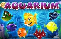Aquarium